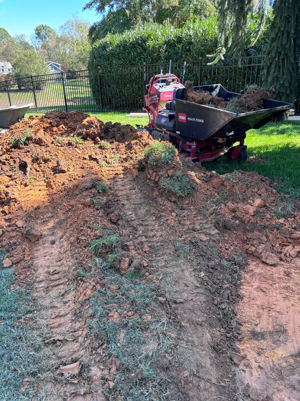 Forestry Mulching
