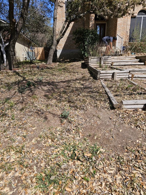 Shrub Trimming