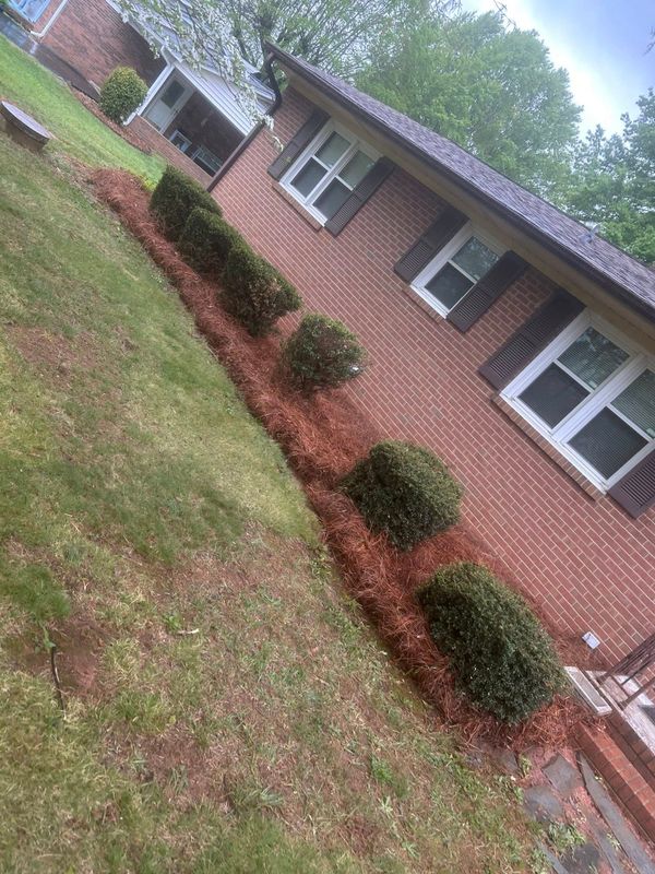 Plant Maintenance
