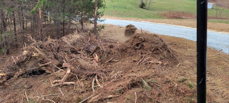 Land Clearing