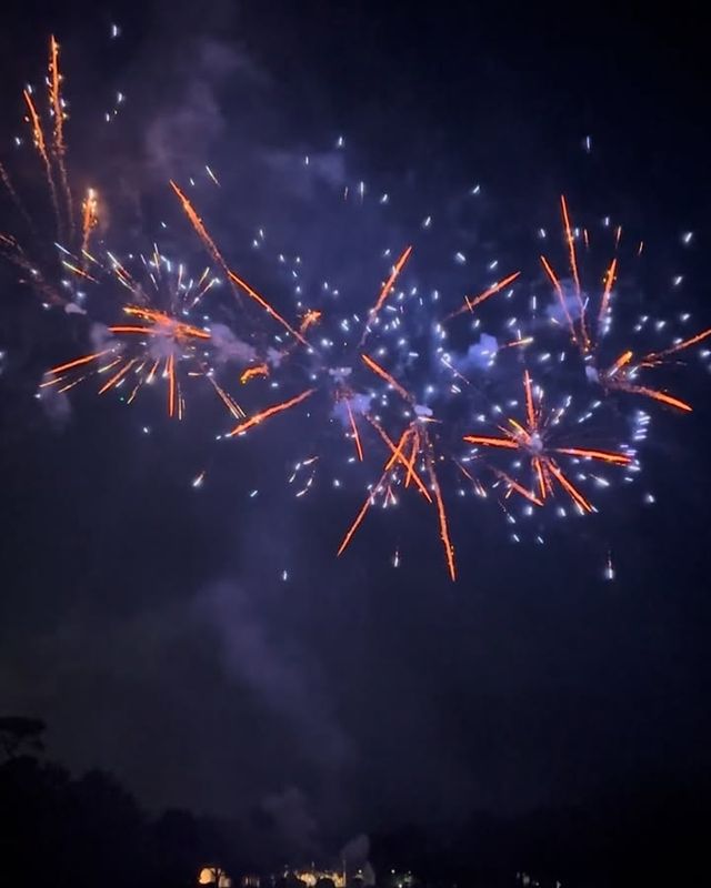 Sky High Pyrotechnics: Lighting Up Georgia, One Explosion at a Time!