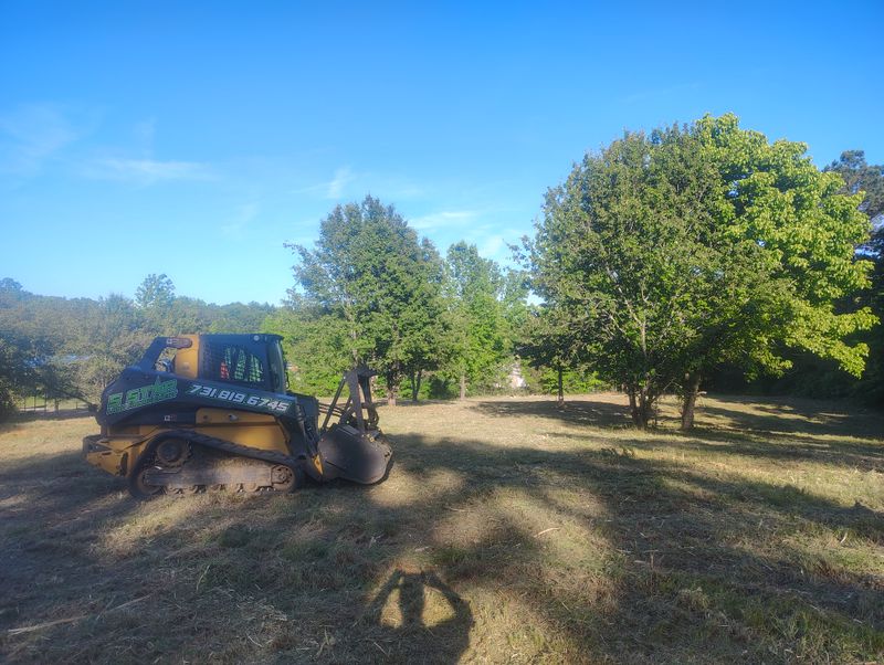 Forestry Mulching
