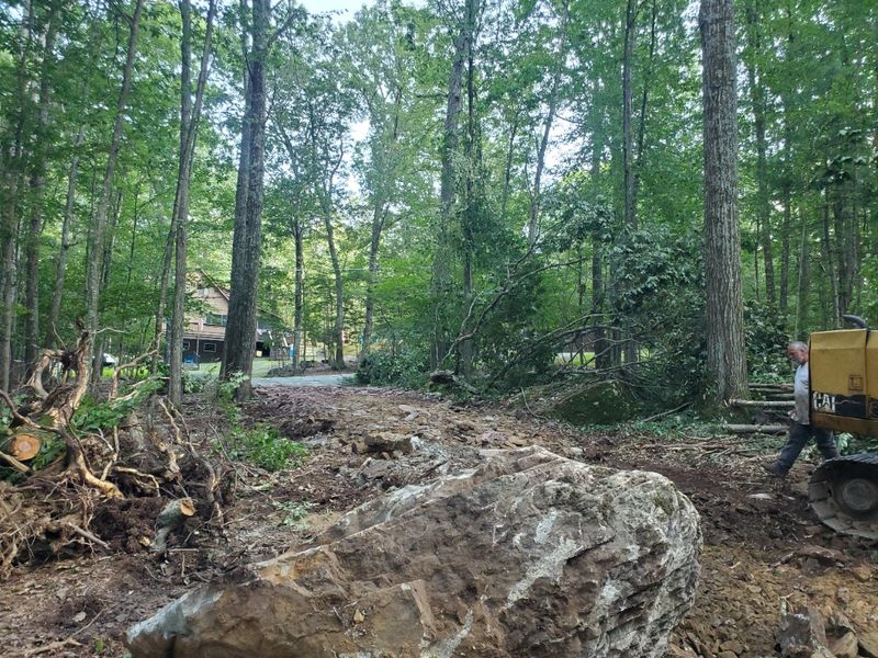Land Clearing