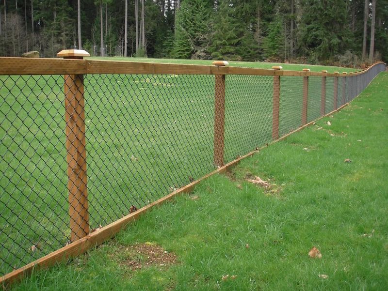 Fencing gallery