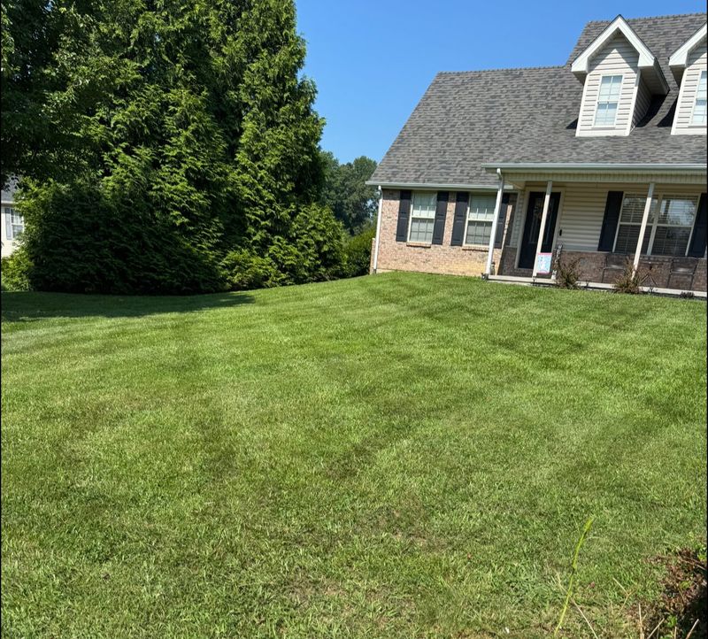 Landscaping