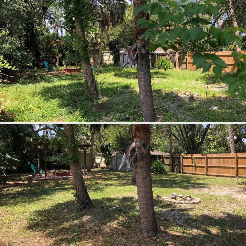 Landscaping