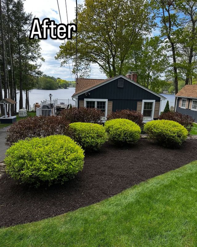 Landscape Design