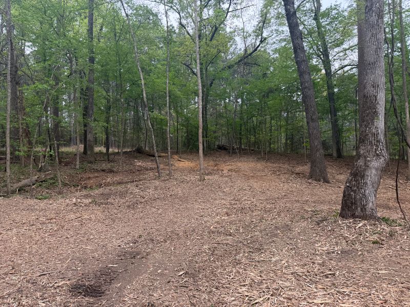 Forestry Mulching