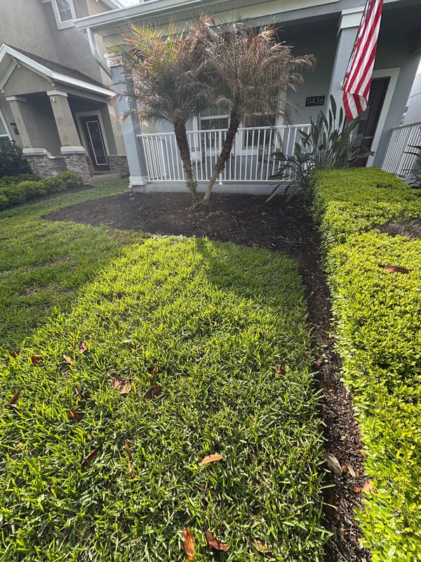 Fresh St. Augustine Sod Installation – Completed by Ludlow’s Services