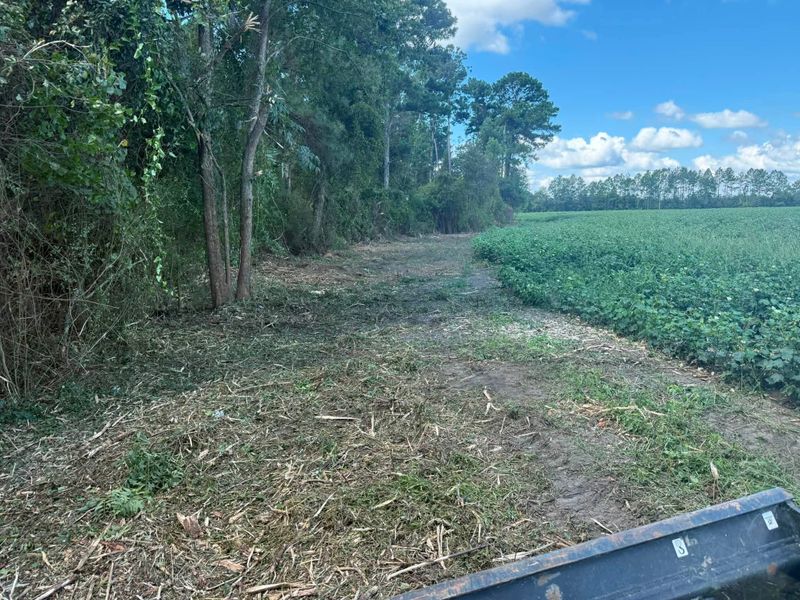 Land Clearing