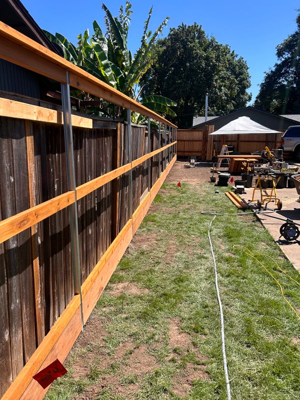 Custom Fence Design