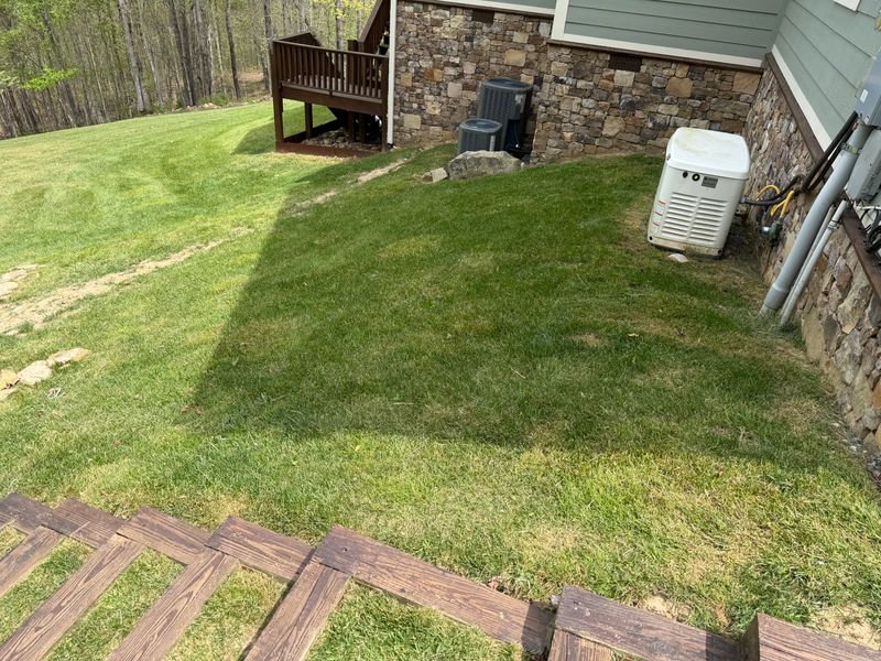 Lawn Maintenance