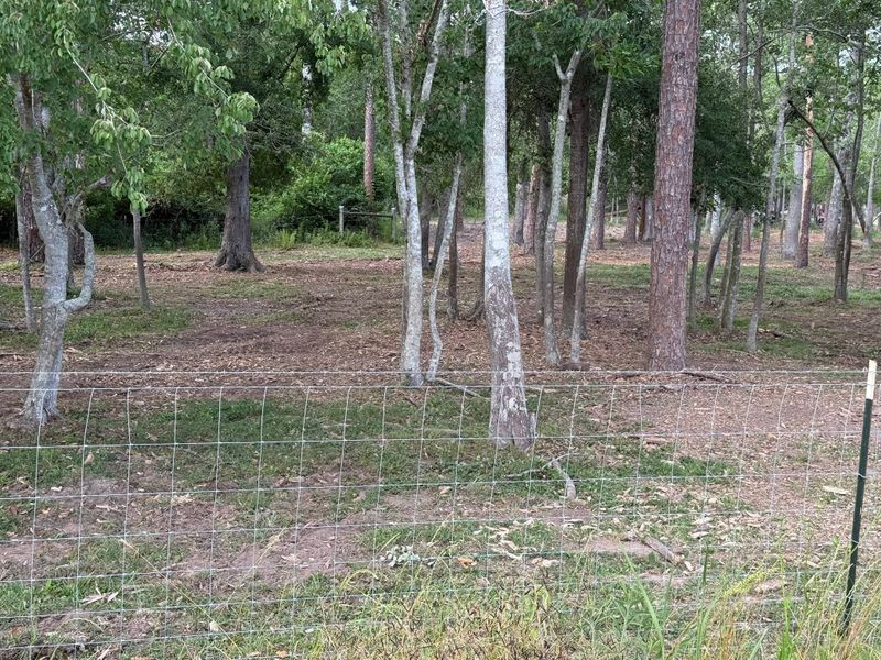 Land Clearing