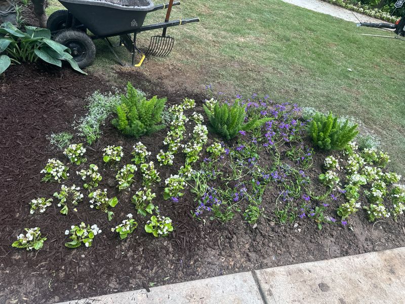 Landscape Design