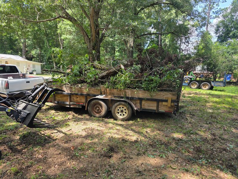 Junk Removal