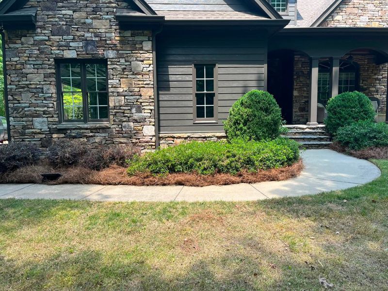 Landscape Design & Installation