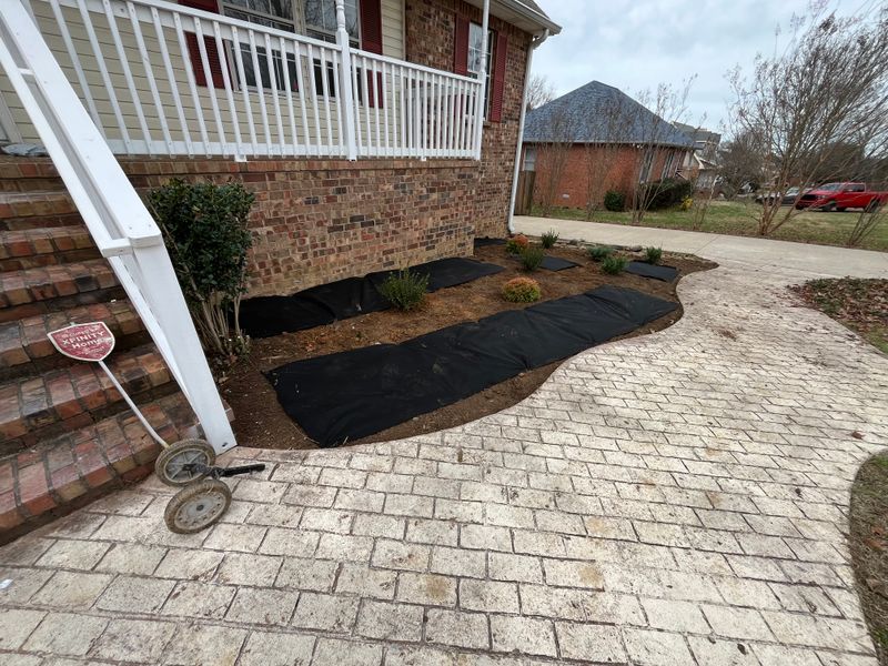 Patio & Walkway design