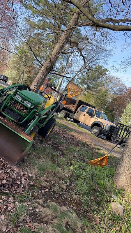 Fall Clean Up