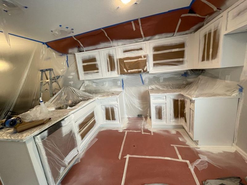 Cabinets Paint