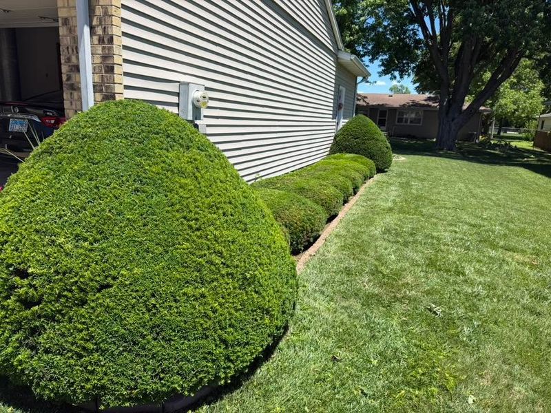 Landscaping