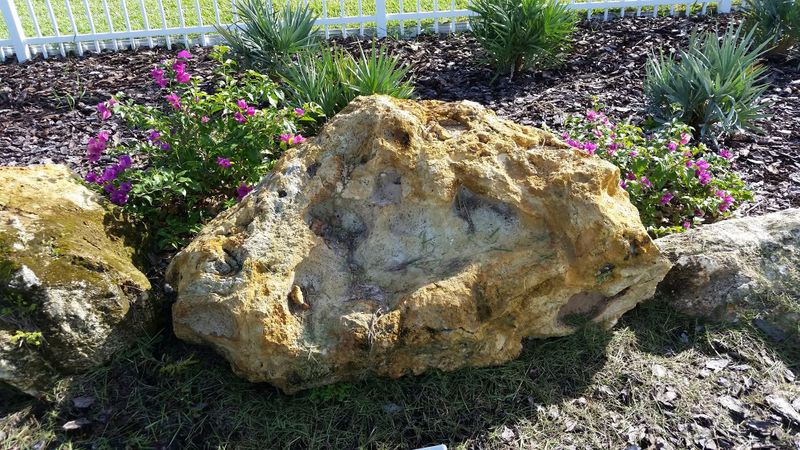 Hardscape Installation