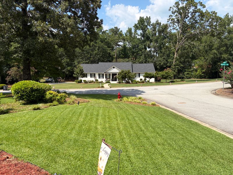Lawn Maintenance