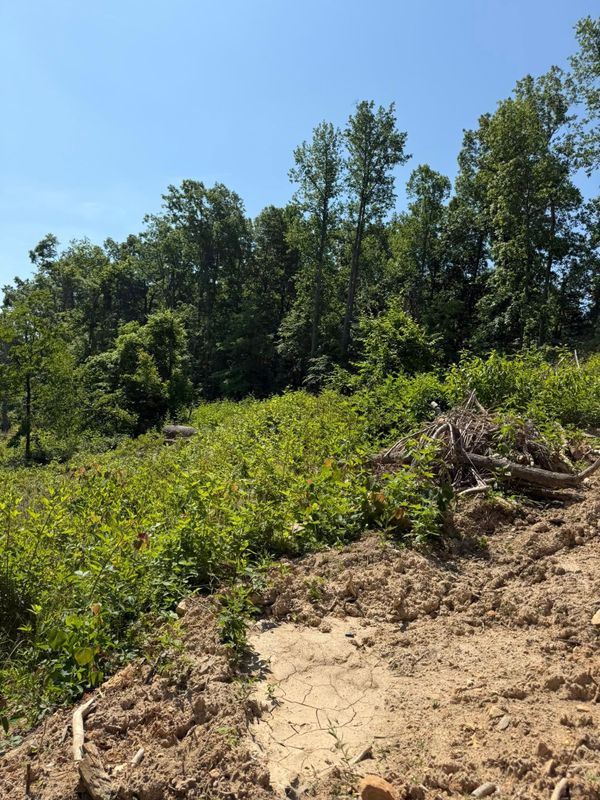 Land Clearing