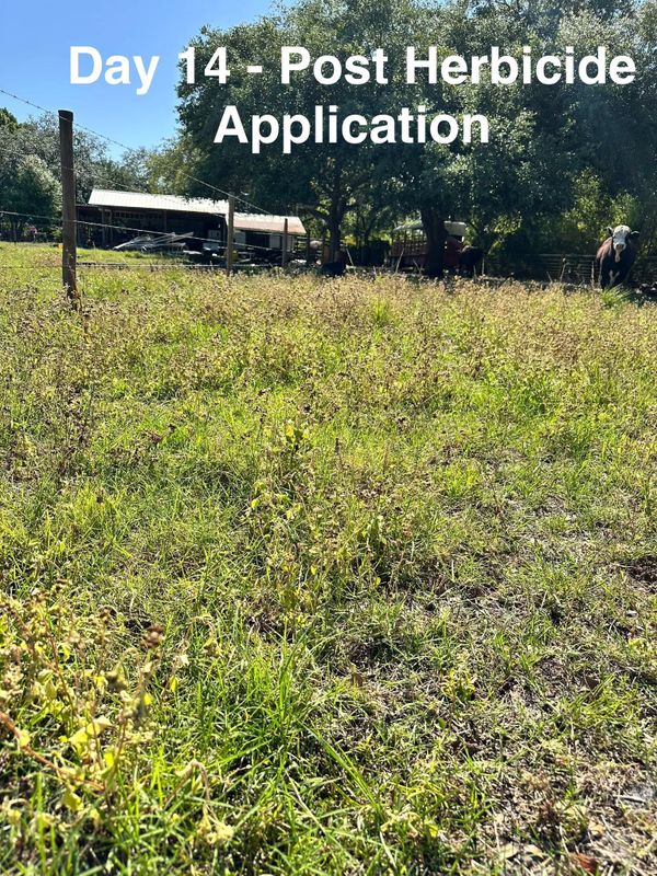 Custom Herbicide Treatments