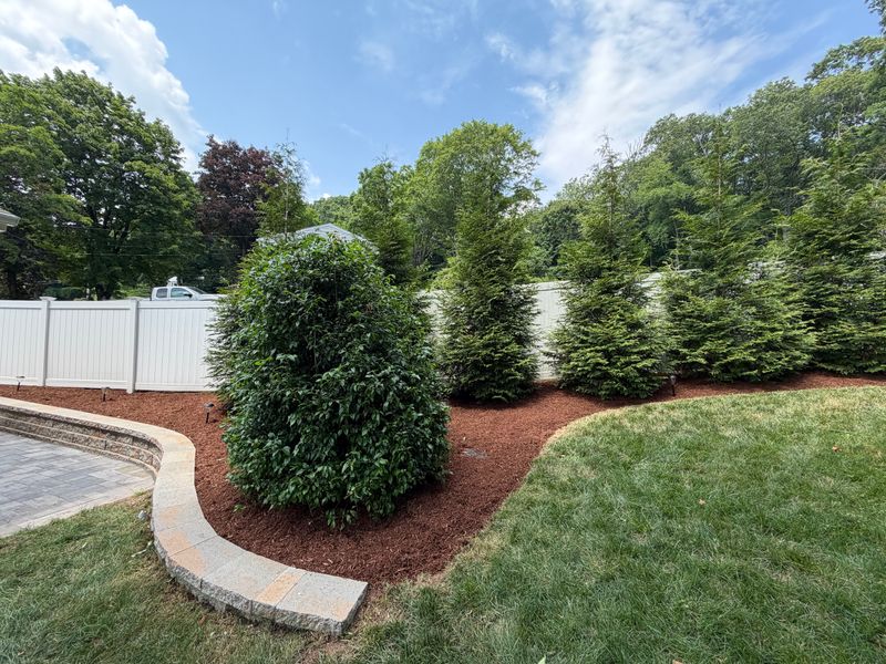 Tree & Shrub Care