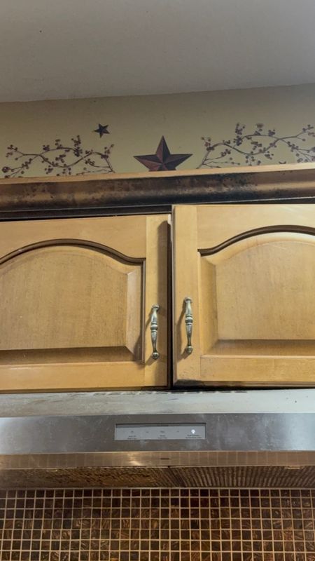 Mold Remediation