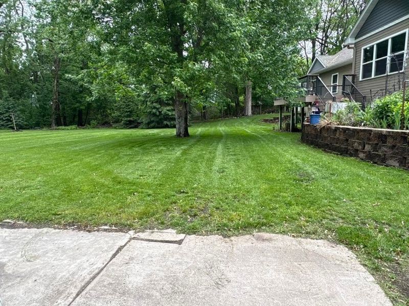 Lawn Maintenance
