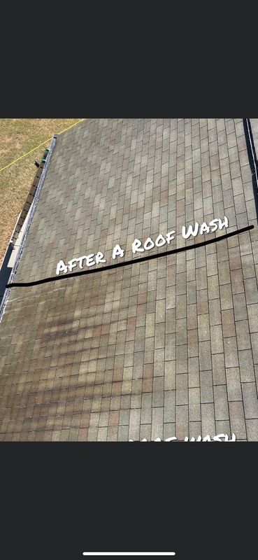 Roof Cleaning