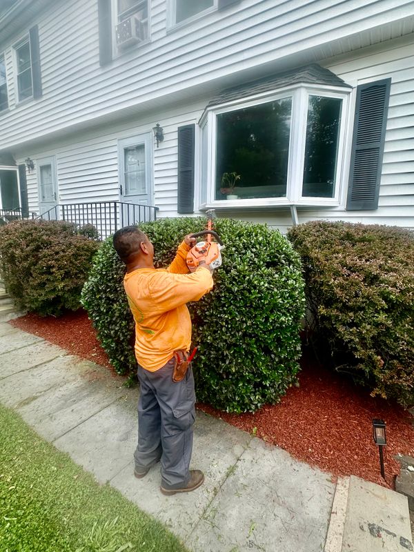 Landscaping