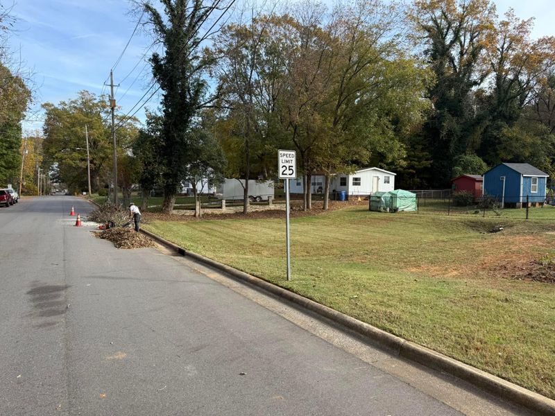 Spring Cleanups
