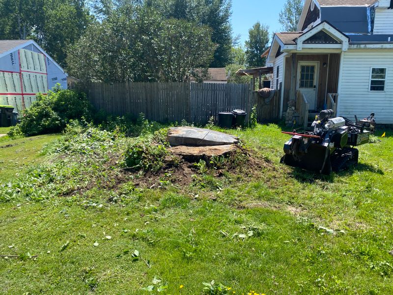 Stump Grinding