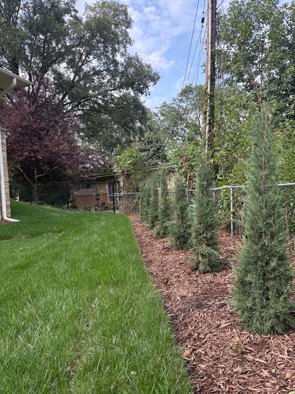 Garden Design