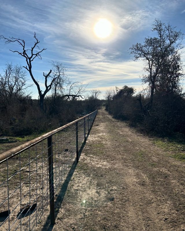 Wire Fencing