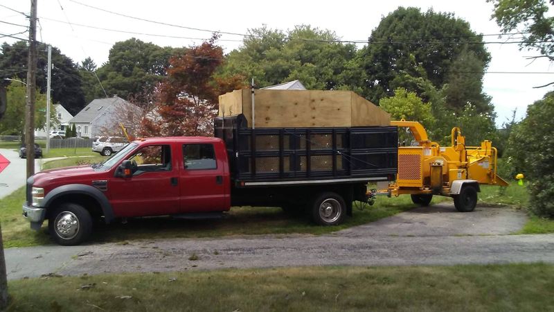 Tree Services