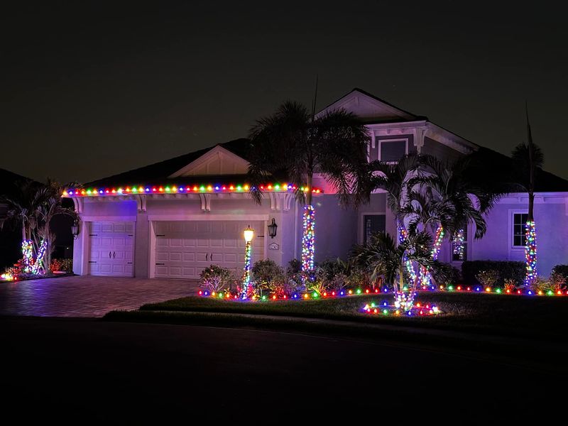 Christmas Light Installation 