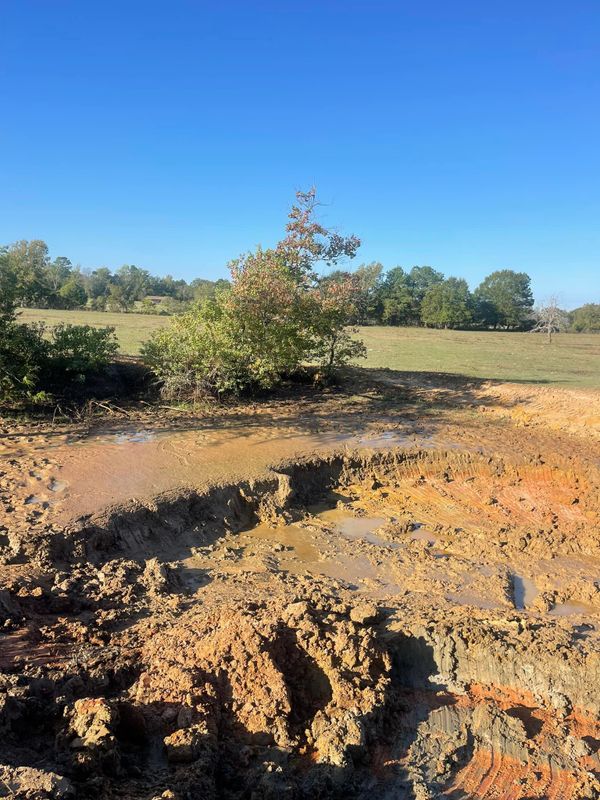 Land Clearing gallery
