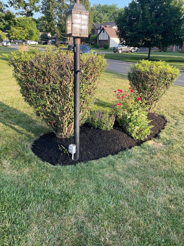 Lawn Maintenance