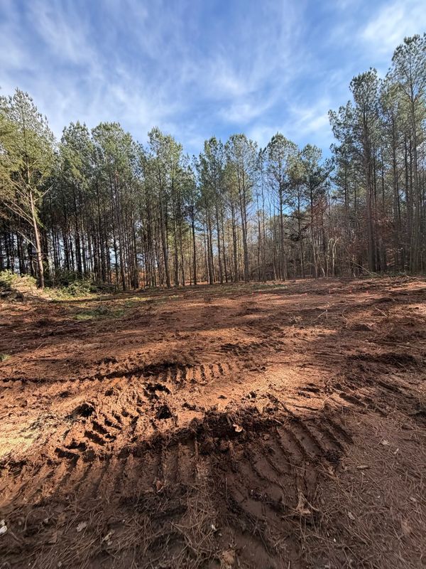 Environmental Excavation