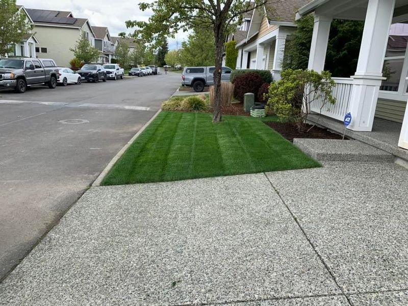 Landscaping