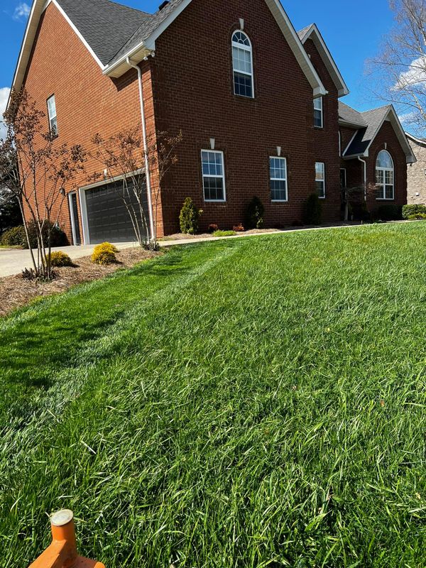 Lawn Care