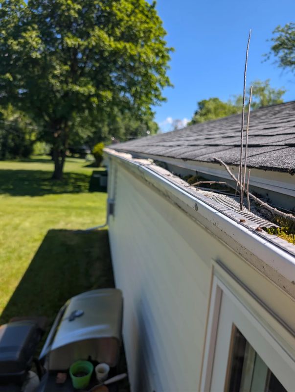 Gutter Cleaning