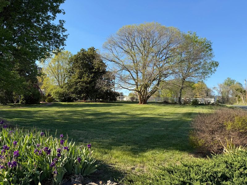 Tree & Shrub Care
