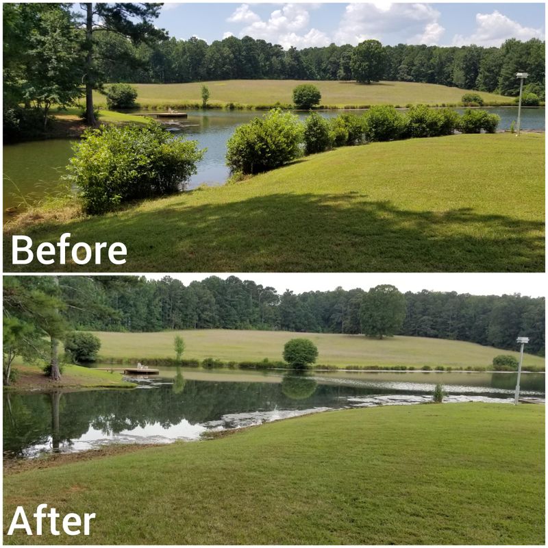 Pond Maintenance and Management