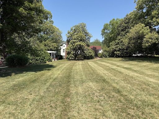 Lawn Maintenance