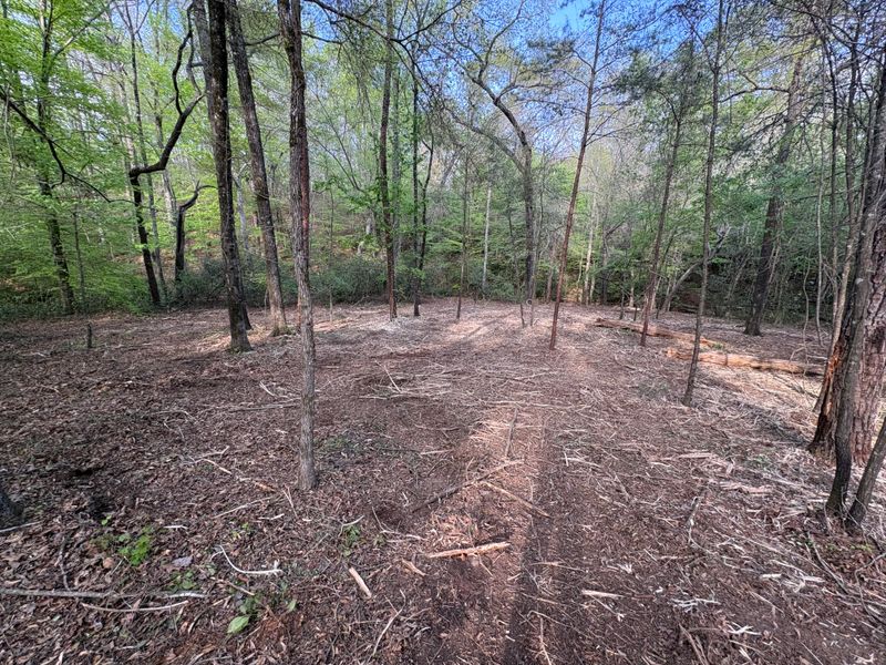 Brush Cutting