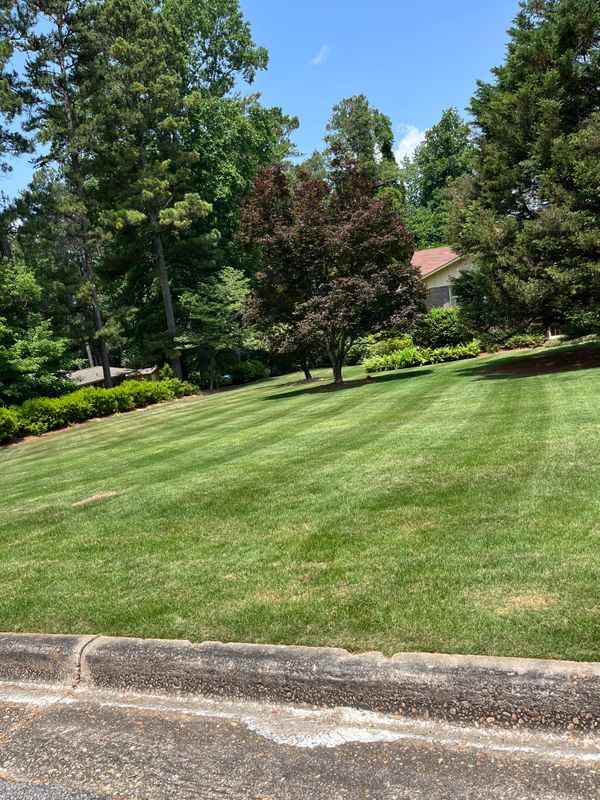 Lawn Care & Maintenance